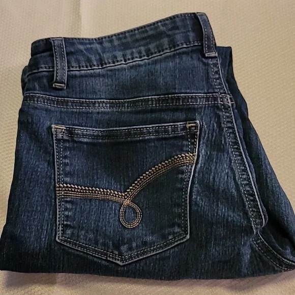 Women's Assorted Blue Denim Jeans Bundle Size 6P - Picture 2 of 16